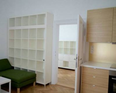 Spacious 2 bdr. apt,50m2 reconstructed