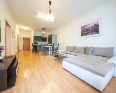 Sunny 1 bdr apt, 63m2, petfriendly, with spacious terrace