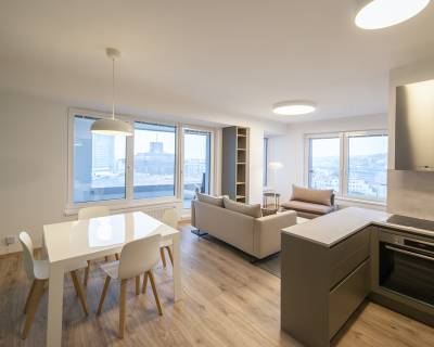 Luxusný 2i byt, 49 m2, zariadený, terasa, parkovanie, výhľad, Premiére
