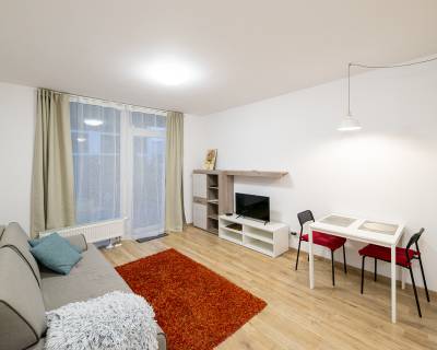 Cozy modern 1room apt 28m2, with terrace in a great area, AHOJ PARK