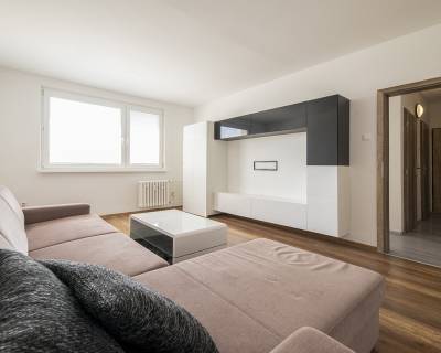 Sunny 1-room apartment, 35 sqm, furnished, cellar, Bodrocka Street