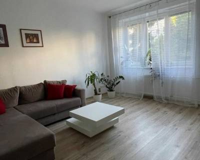 Very nice 1 bdr apt 64 m2, after reconstruction, great location 