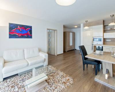 Pleasant sunny 1 bdr apt 55 m2, with balcony and parking, new building