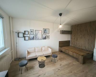  Design 1room apt of 33m2, with air conditioning and cellar