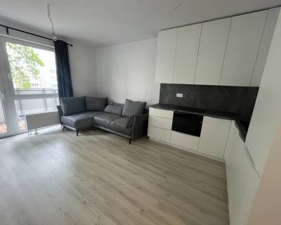 Amazing spacious 1 bdr apt 50m2 with balcony and parking, NUPPU