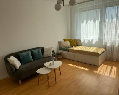 Very nice, cozy 1 room apt 34 m2, great location 
