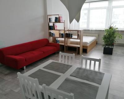 RESERVED Generous 1room apt 58m2, renovated, good location