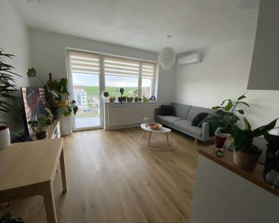 Sunny 1bdr apt 42m2, with air conditioning, parking and balcony